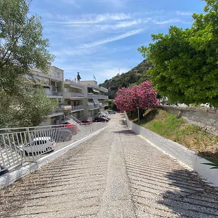 Basileia's * PalaiónTsiflíkion